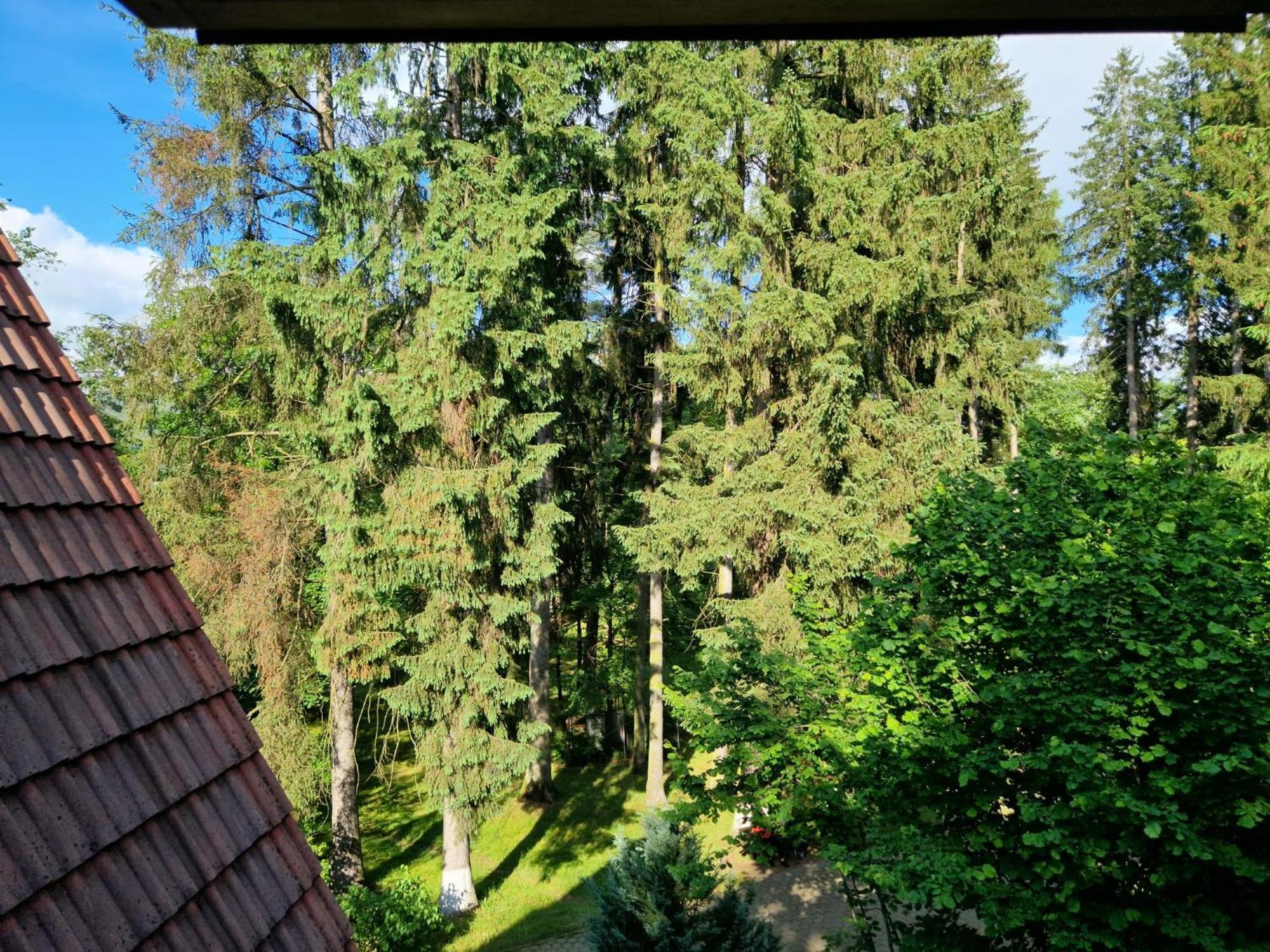 Pensiunea Happy Inn Vatra Dornei Esterno foto